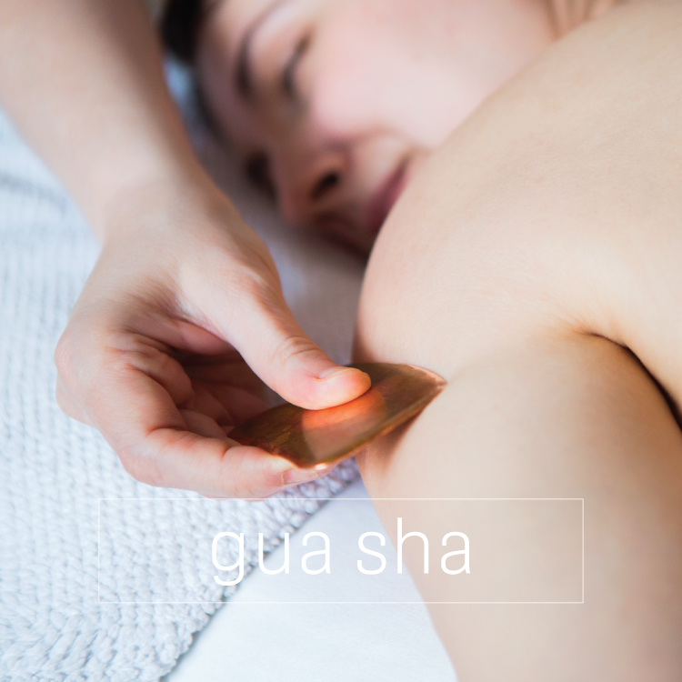 gua sha services ebb + flow acupuncture